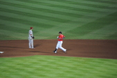 Enlarge photo 341