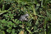 Enlarge photo 226