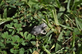 Enlarge photo 228