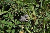 Enlarge photo 229