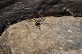Enlarge photo 27