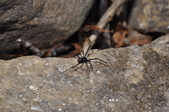 Enlarge photo 30