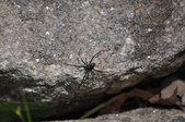 Enlarge photo 31