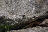 Enlarge photo 32