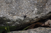 Enlarge photo 33