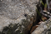 Enlarge photo 34