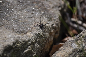 Enlarge photo 35