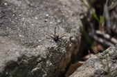 Enlarge photo 39