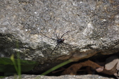 Enlarge photo 40