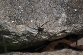 Enlarge photo 41