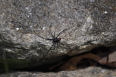 Enlarge photo 42