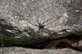 Enlarge photo 43