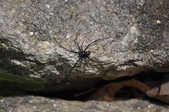 Enlarge photo 44