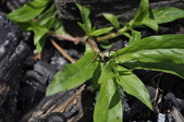 Enlarge photo 46