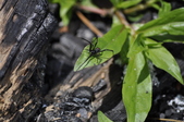 Enlarge photo 48