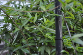 Enlarge photo 200