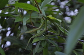 Enlarge photo 206