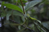Enlarge photo 207