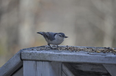 Enlarge photo 120
