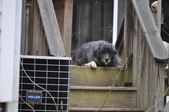 Enlarge photo 128