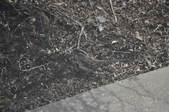 Enlarge photo 132
