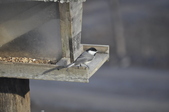 Enlarge photo 136