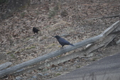 Enlarge photo 137