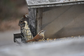 Enlarge photo 140