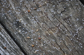 Enlarge photo 148