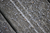 Enlarge photo 149