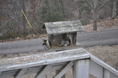 Enlarge photo 150