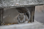 Enlarge photo 151