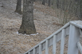 Enlarge photo 153