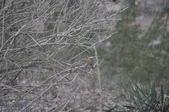 Enlarge photo 160