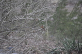 Enlarge photo 161