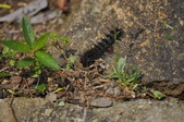 Enlarge photo 81