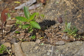 Enlarge photo 82