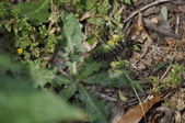 Enlarge photo 84