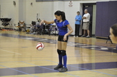 Enlarge photo 267