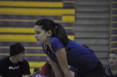 Enlarge photo 73