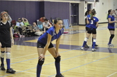 Enlarge photo 140