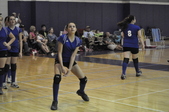 Enlarge photo 149