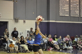 Enlarge photo 159