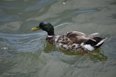 Enlarge photo 18