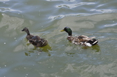 Enlarge photo 19