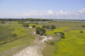 Enlarge photo 50