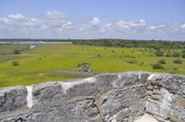 Enlarge photo 51