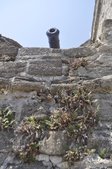 Enlarge photo 69