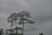 Enlarge photo 88