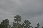 Enlarge photo 89